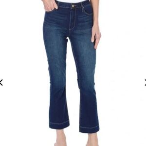 Articles of Society Dark wash cropped jeans